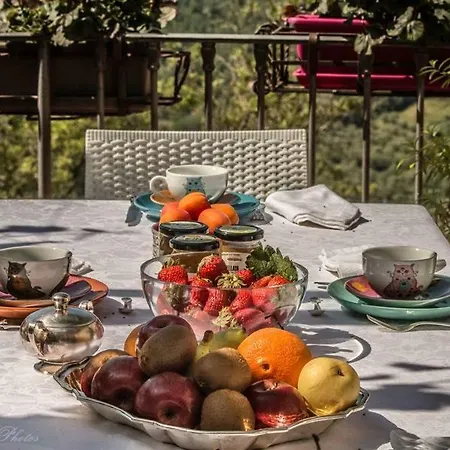 Frühstückspension Maruca's House. Cilento